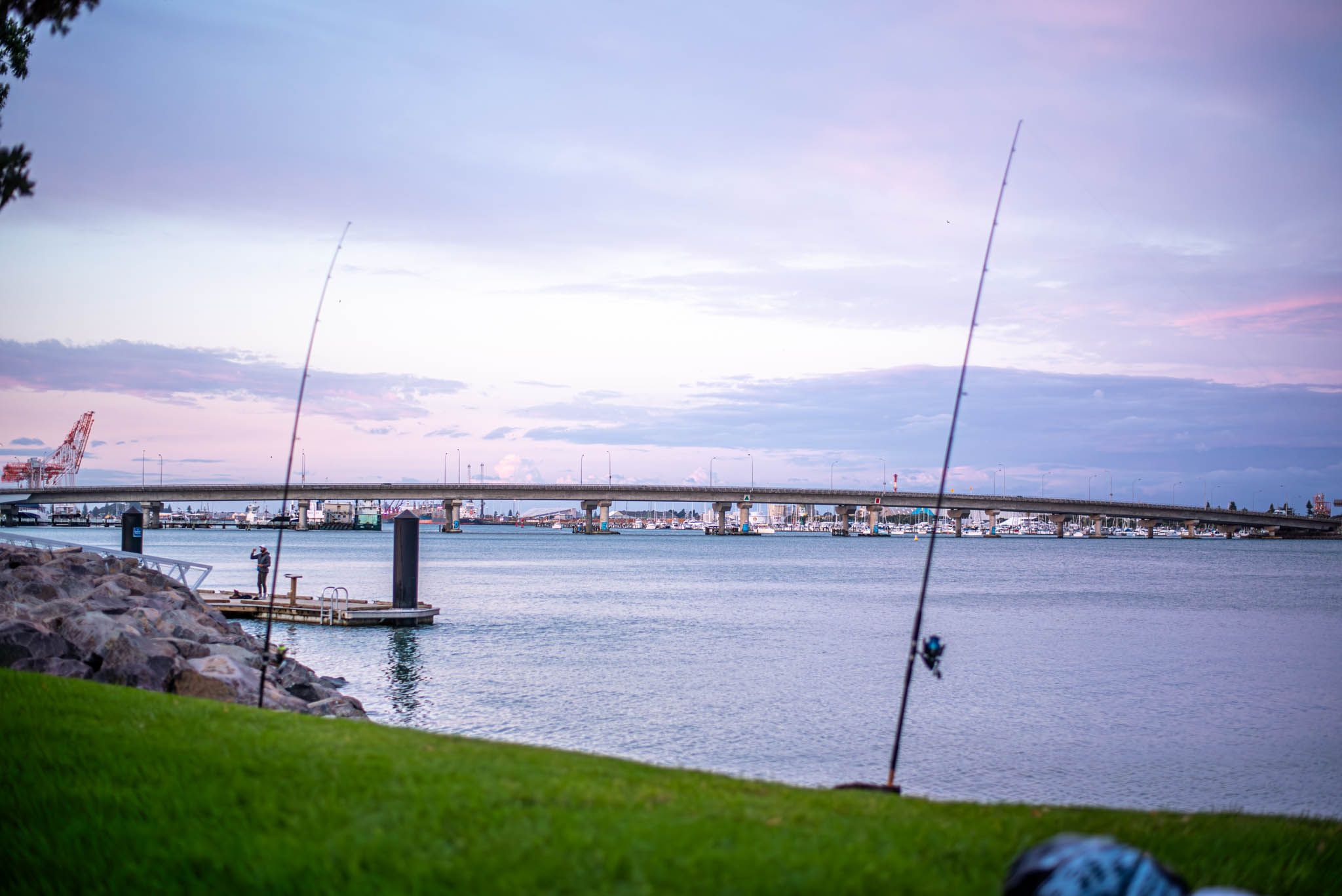 Landscape of a ocean front with a bridge in the distance and two fishing poles in the foreground with no people