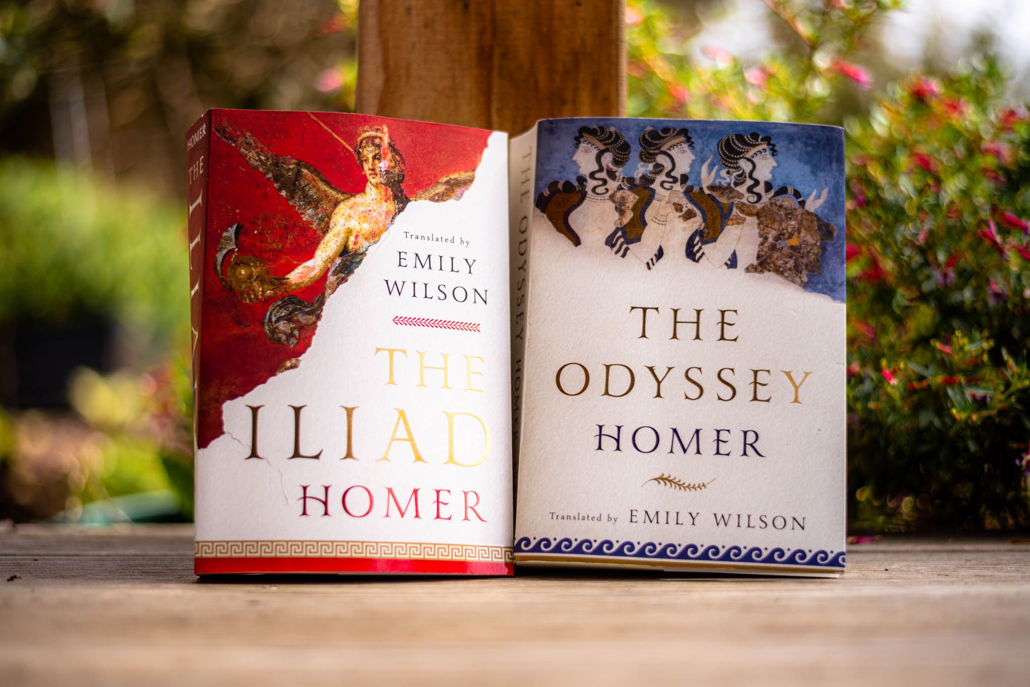 Two books on the right is "The Iliad" and the left is "The Odyssey", both also contain text "Homer" and "translated by Emily Wilson"